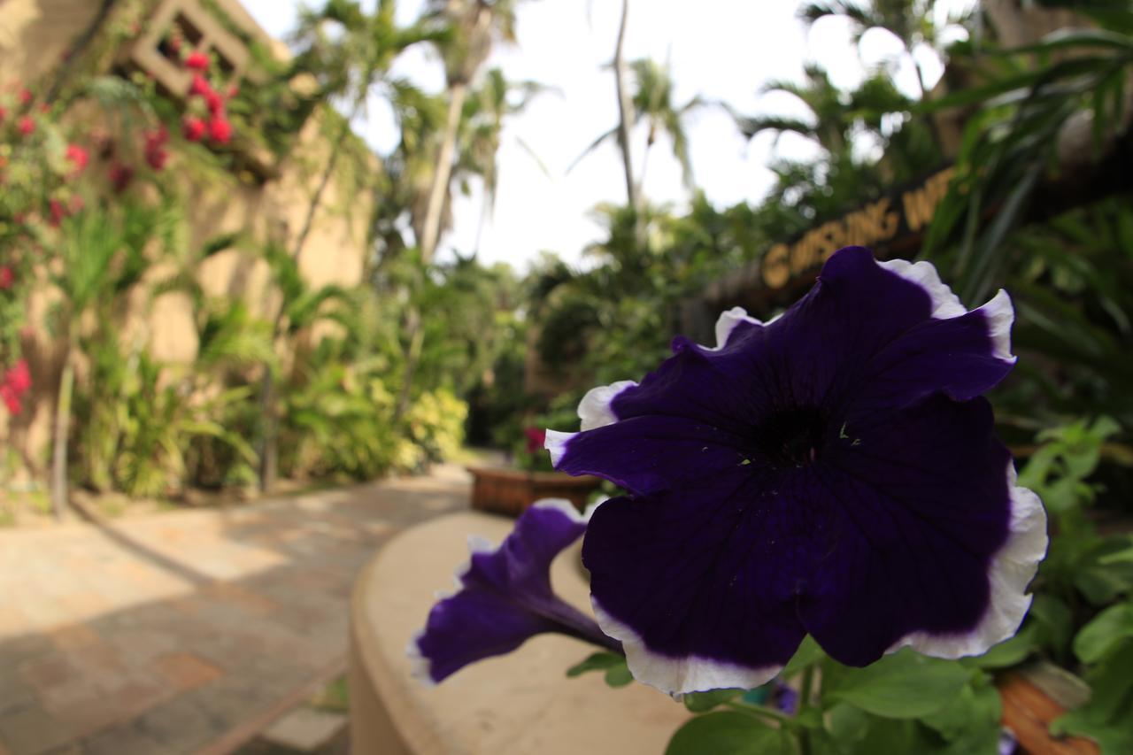 Villas El Rancho Green Resort マサトラン エクステリア 写真
