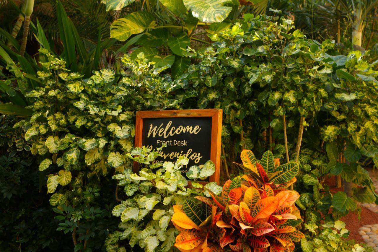 Villas El Rancho Green Resort マサトラン エクステリア 写真